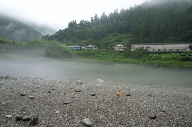 R0016850小.jpg